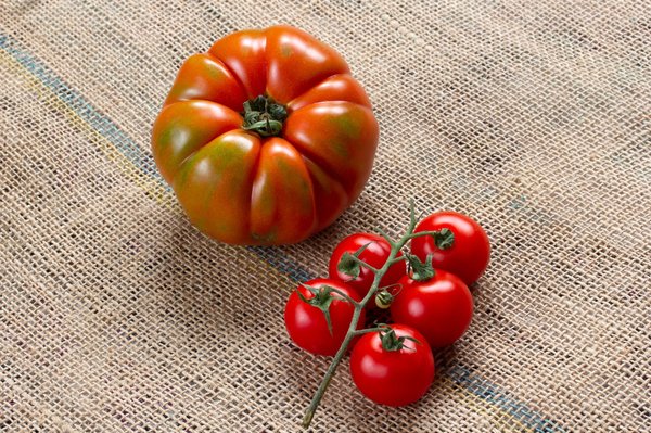 Top 5 variétés de graines de tomates reproductibles à essayer