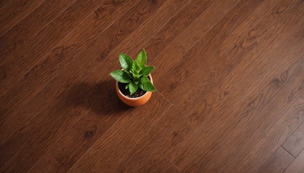 Revêtement de sol : des choix écologiques et esthétiques